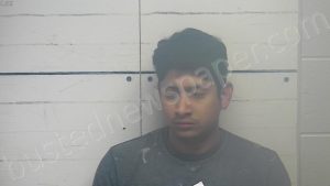 HERNANDEZ, MAURICIO ADRIAN | 2024-11-24 00:18:00 Desoto County, Mississippi, DeSoto County, Mississippi Booking