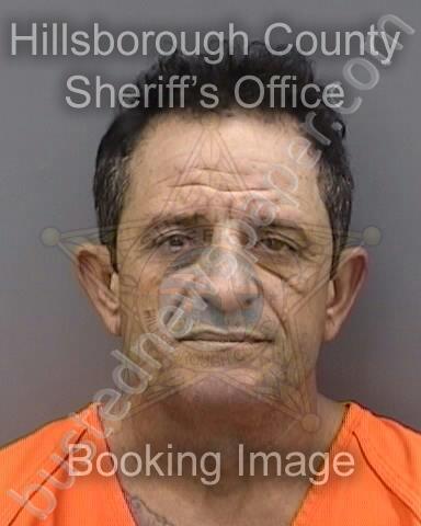 GARRIGA,LEYDEL #, Hillsborough County, Florida - 2024-11-25 12:19:00