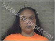 AUSTIN, MELANIE | 2024-11-25 Harnett County, North Carolina Booking
