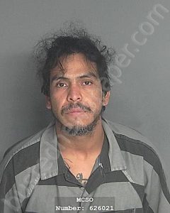 HERNANDEZ, MIGUEL ANGEL | 2024-11-25 13:15:00 Montgomery County, Texas Booking