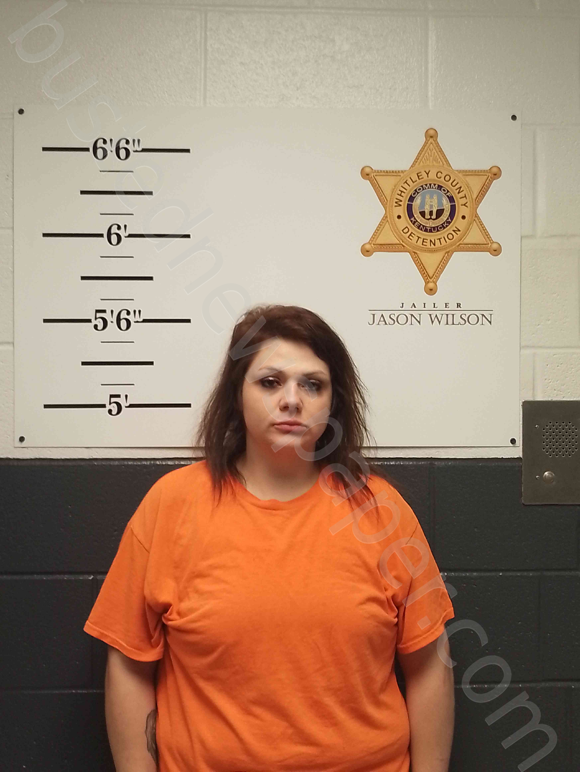Whitley County Ky Busted Newspaper - p7nyo7l