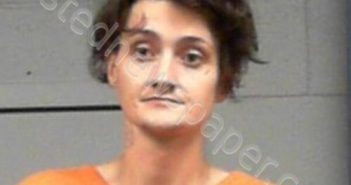 ZIRKLE, BRANDON MICHAEL | 2024-11-25 17:05:00 Wood County, West Virginia Booking