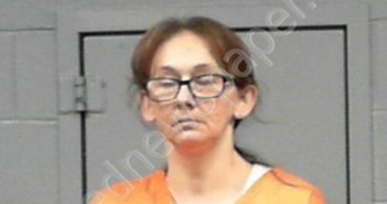 ARBOGAST, MELISSA DAWN | 2024-11-25 16:20:00 Wood County, West Virginia Booking