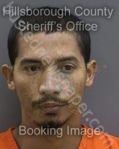 HERNANDEZ AMADOR,JHONY | 2024-11-25 22:40:00 Hillsborough County, Florida Booking