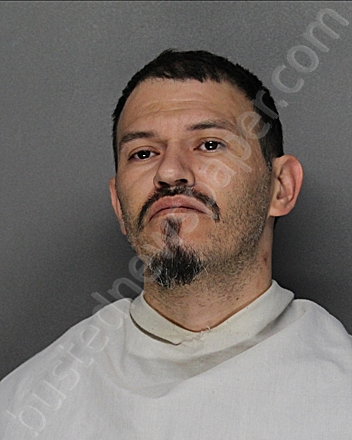 HERRERA, JONATHAN CARL #, Ellis County, Texas - 2024-11-25 21:51:29