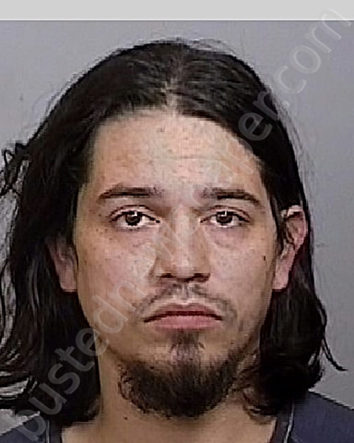 ROSARIO, ANGEL G #, Manatee County, Florida - 2024-11-25