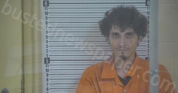 GANNON, JEREMY T | 2024-11-26 19:23:00 Taylor County, Kentucky Booking