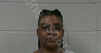 RANSOM, ALEXANDRIA DIANE | 2024-11-26 14:23:00 Dickinson County, Kansas Booking