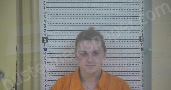 LAMER, JASMIN MARIE | 2024-11-26 11:09:00 Taylor County, Kentucky Booking