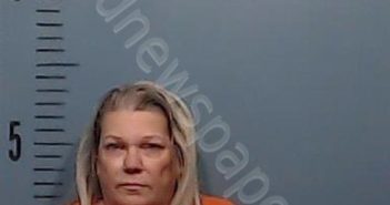 HUDSON, CHRISTINA ELAINE | 2024-11-26 Taylor County, Texas Booking