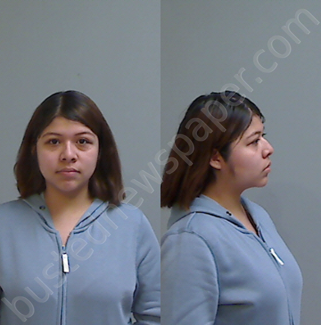 Zuniga, Shanelle Renae 20241127 Hidalgo County, Texas Booking