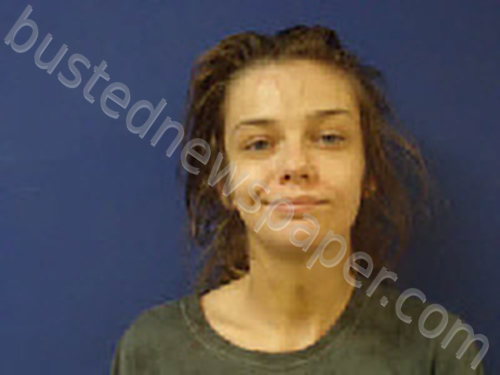 PICKERING, AMBERLYN MICHAELA #, Sampson County, North Carolina - 2024-11-27 10:49:00