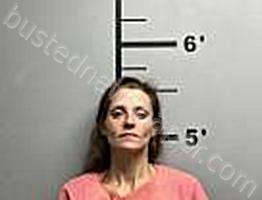 BAILEY, BRANDY MARIE #, Benton County, Arkansas - 2024-11-29