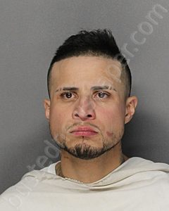 HERNANDEZ, LUIS ANGEL | 2024-11-29 18:37:42 Ellis County, Texas Booking