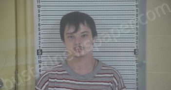 COX, TAKYIA S | 2024-11-29 15:49:00 Taylor County, Kentucky Booking