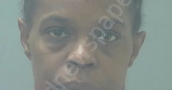 WARREN, CHRISTINA DIANE | 2024-11-30 10:28:00 Santa Rosa County, Florida Booking