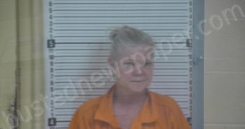 BURTON, LISA L | 2024-11-30 01:00:00 Taylor County, Kentucky Booking