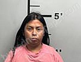 GUZMAN-OLMOS, MIGUEL #, Benton County, Arkansas - 2024-11-30