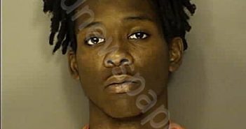 <B>WILLIAMS</B>, KEMARI <B>RICKY</B> <B>LEE</B> #, Horry County, South Carolina - 2024-12-01 10:50:00