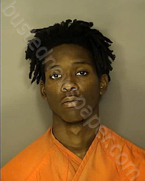 WILLIAMS, KEMARI RICKY LEE #, Horry County, South Carolina - 2024-12-01 10:50:00