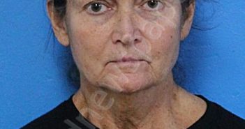 WILLIAMS, DONNA JEAN | 2024-12-02 14:00:09 Sullivan County, Tennessee Booking