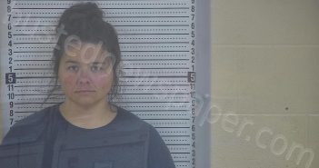 ANDERSON, CHRISTINA | 2024-12-03 05:04:00 Taylor County, Kentucky Booking