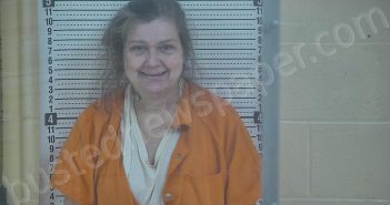 BAGBY, JOYCE ANN | 2024-12-03 20:26:00 Taylor County, Kentucky Booking