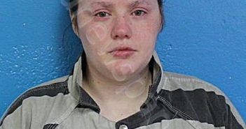 HODGE, SHELBY LYNN | 2024-12-03 09:53:00 Sullivan County, Tennessee Booking