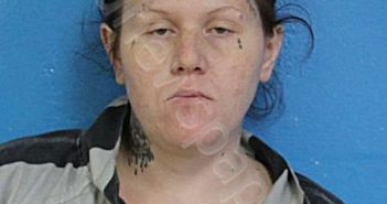 FERGUSON, CHEYENNE DAWN | 2024-12-03 23:21:00 Sullivan County, Tennessee Booking