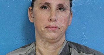 ATKINSON, LISA DENISE | 2024-12-03 00:54:57 Sullivan County, Tennessee Booking