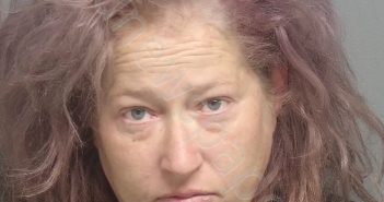 WAMPOLE, <B>BRITTANY</B> ANN #, Hernando County, Florida - 2024-12-04 12:32:00