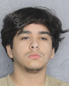 PEREZ, NESTOR YANKIER | 2024-12-04 Broward County, Florida Booking