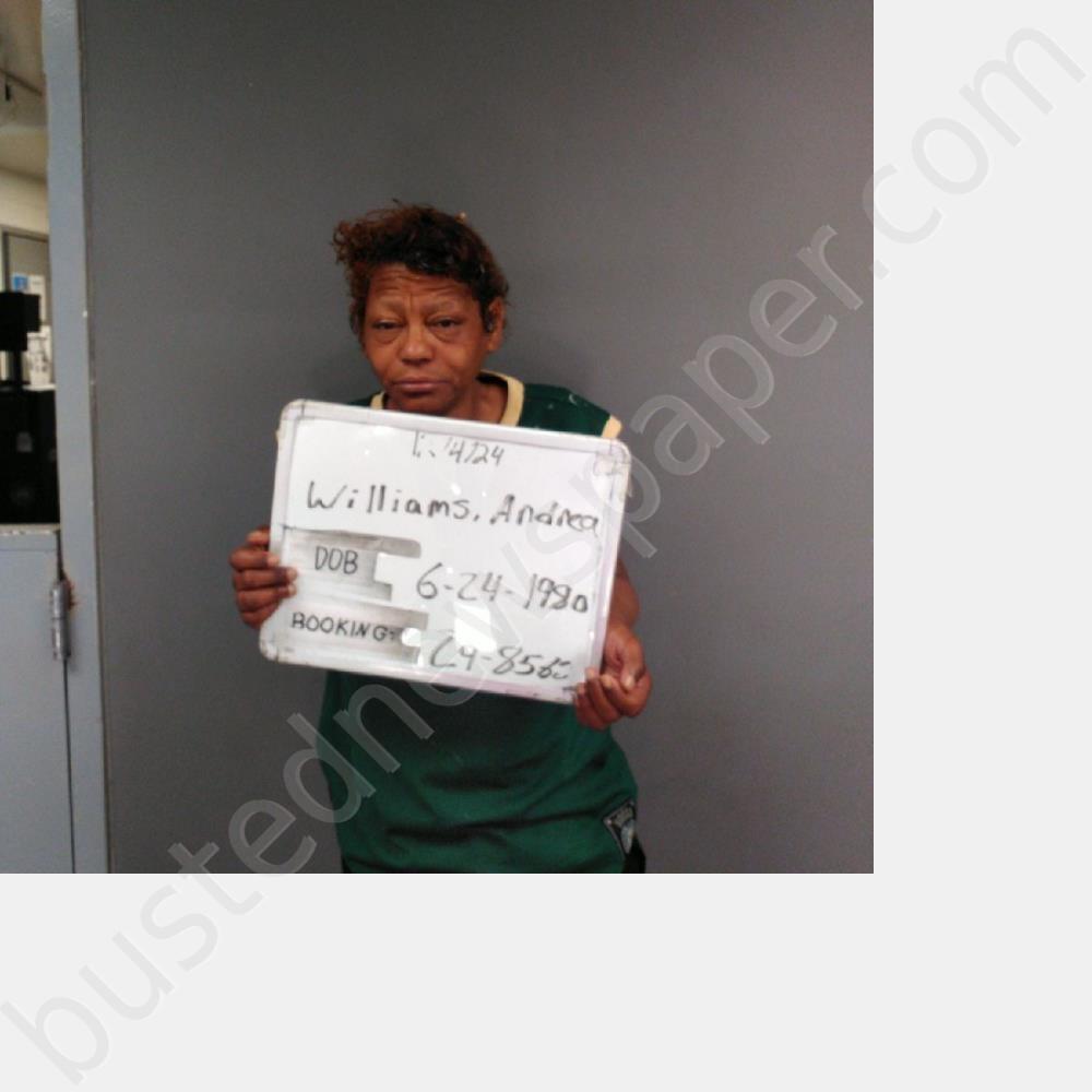 WILLIAMS, ANDREA MONIQUE #, Sebastian County, Arkansas - 2024-12-04 01:05:00