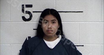 GALVAN GUERRA, ANA ELENA | 2024-12-05 Chase County, Kansas Booking