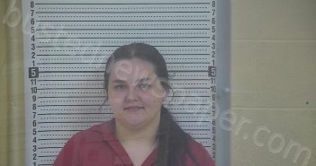 DAVIS, BROOKLYN L | 2024-12-05 20:34:00 Taylor County, Kentucky Booking