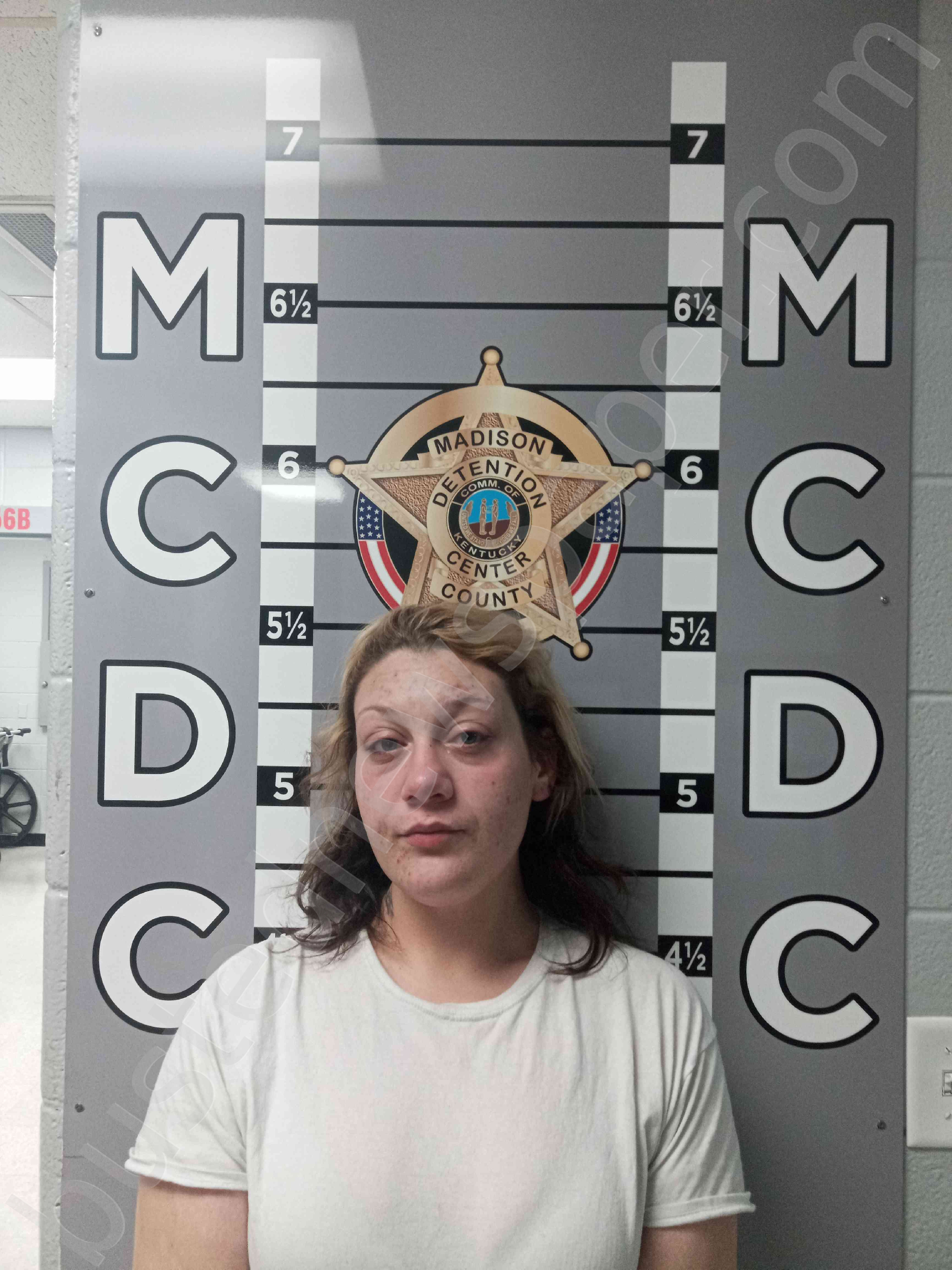 Madison County Busted Newspaper - ymolslo