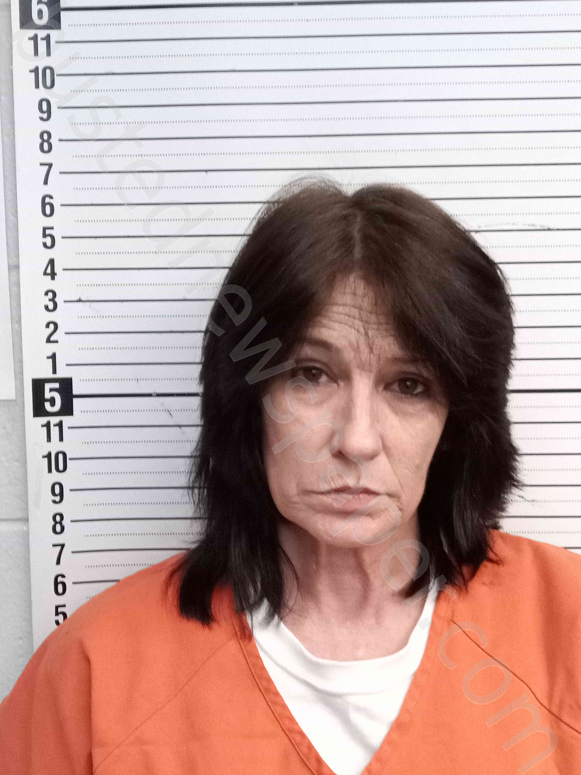 Busted Newspaper Jefferson County Al 53 - r46kcqv
