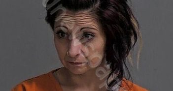 PICKENS, CHERI N | 2024-12-06 Sandusky County, Ohio Booking