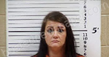 SILVER, TARA CAMILLA | 2024-12-06 19:12:00 Cherokee County, North Carolina Booking
