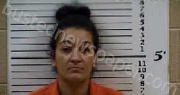 GREENLEE, SHALEES MARIE | 2024-12-06 10:05:00 Cherokee County, North Carolina Booking