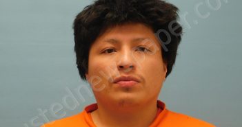<B>LUIS</B>–<B>GARCIA</B>, <B>JESUS</B> #, Van Wert County, Ohio - 2024-12-07