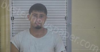 BRIDGEWATER, DAVID TAYSHAUN | 2024-12-07 07:55:00 Taylor County, Kentucky Booking