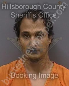 BROWN,DONALD III | 2024-12-07 02:15:00 Hillsborough County, Florida Booking