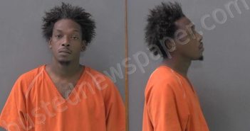 <B>WILSON</B>, <B>ELLIOT</B> <B>LEE</B> <B>JUNIOR</B> #, Bell County, Texas - 2024-12-07 11:39:00