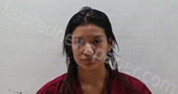 CARDENAS JACQUELINE LIZETH | 2024-12-08 Cameron County, Texas Booking