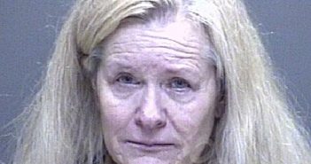 PEHNKE, JILL RENE | 2024-12-08 00:29:00 Galveston County, Texas Booking