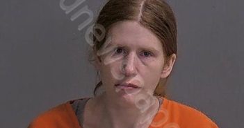 EARLE, NICOLE D | 2024-12-09 Sandusky County, Ohio Booking