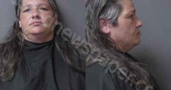 <B>WEHRLY</B>, <B>DUSTIN</B> <B>DAWN</B> #, Madison County, Indiana - 2024-12-09 23:41:00