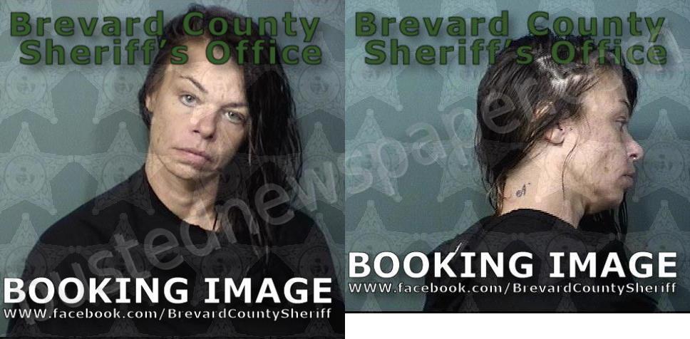 ROTTMANN, JENNIFER MARIE #, Brevard County, Florida - 2024-12-09 15:49:00