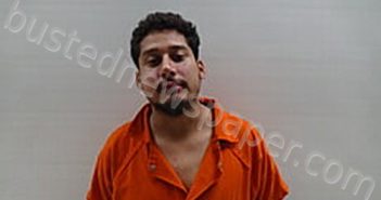 DE LA CRUZ MELENDEZ JESUS GUILLERMO | 2024-12-09 Cameron County, Texas Booking